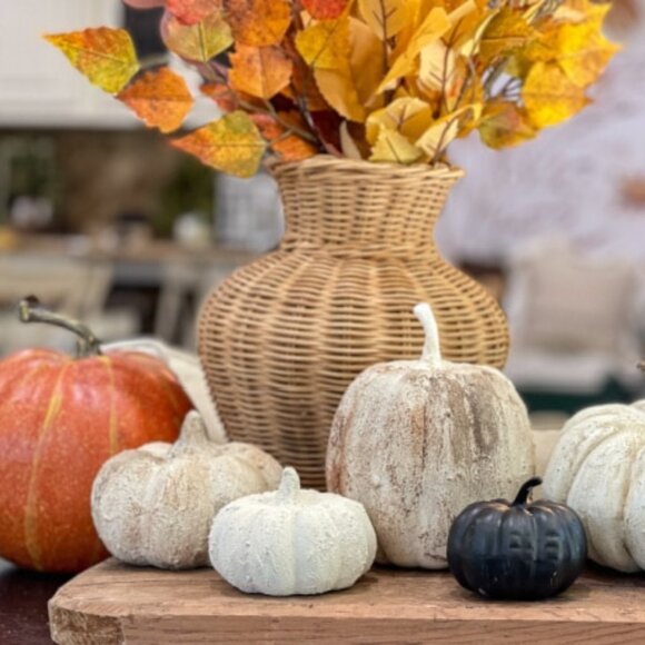 3 For $15 Bundle Deal - Picture 1 of 1